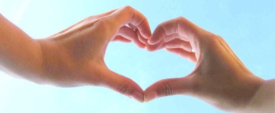 Giving away 8 websites to charities - extended till 15 November Giving away 8 websites to charities - extended till 15 November
